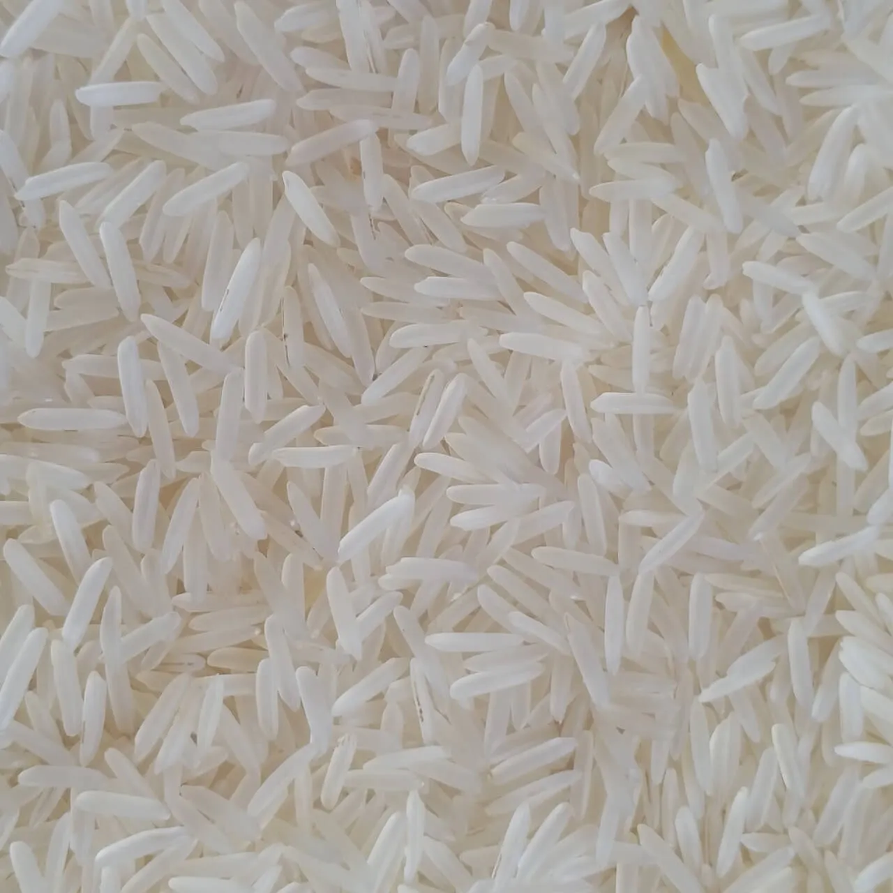 Pusa Pesticide Residue Free Raw Rice